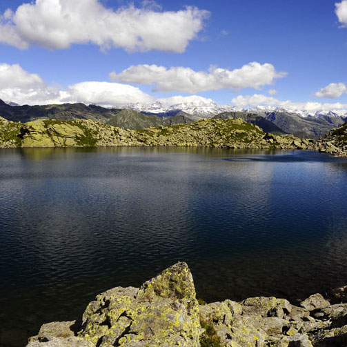 Laghi Viana 108 copia quadra