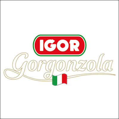 logo igor